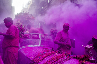 Joyful colour Color Awards Winners and Nominees