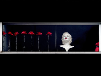 Cinema Color Awards Winners and Nominees