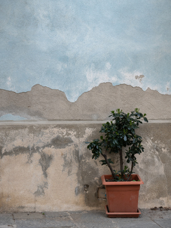 Landscape in Town Color Awards Winners and Nominees