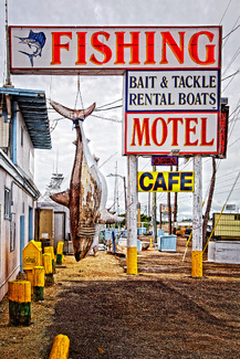 Islamorada Color Awards Winners and Nominees