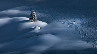 Passing by Color Awards Winners and Nominees