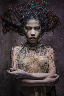 Natural Color Awards Winners and Nominees