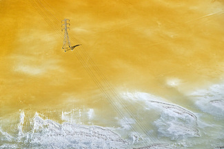 Yellow Salt Color Awards Winners and Nominees