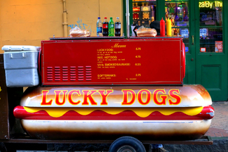 Lucky Dogs Color Awards Winners and Nominees