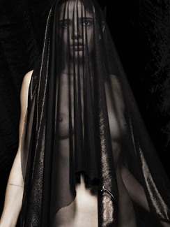 Veiled Color Awards Winners and Nominees