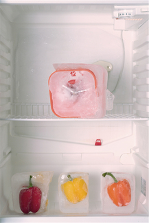 Frozen In Time Color Awards Winners and Nominees