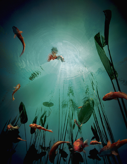 Underwater-Boy & Fish Color Awards Winners and Nominees