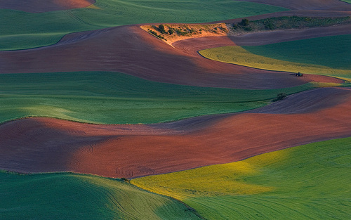 American Tuscany American Tuscany