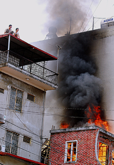 Emotionless Color Awards Winners and Nominees