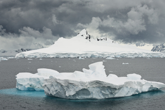 Antarctic Storm Color Awards Winners and Nominees