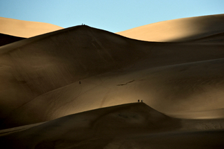 Wedding Proposal Color Awards Winners and Nominees