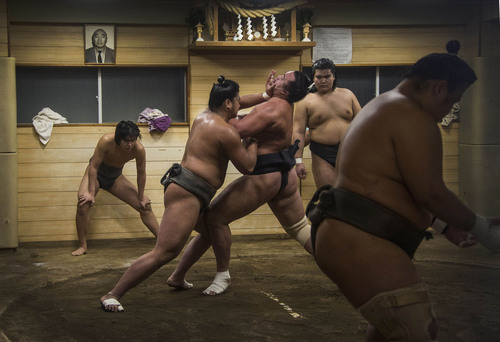 Dying Sport of Sumo Dying Sport of Sumo