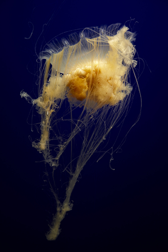 Under the surface 001 Under the surface 001