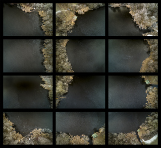 LOP Winter Series #14 Color Awards Winners and Nominees