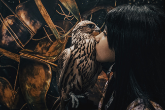 Falcon Girl Color Awards Winners and Nominees