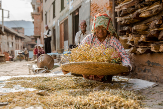 Rural Life Color Awards Winners and Nominees
