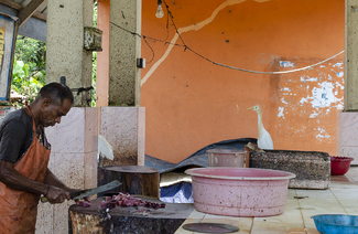 Poissonnier Color Awards Winners and Nominees