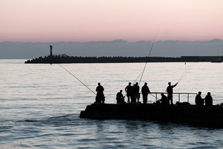 Fishermen (2) Color Awards Winners and Nominees