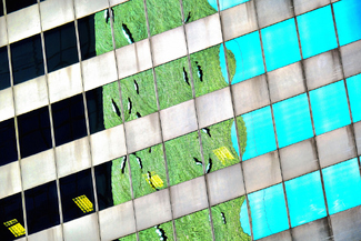 NYC #2 Color Awards Winners and Nominees