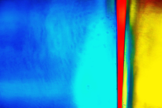 Primary Colors Color Awards Winners and Nominees