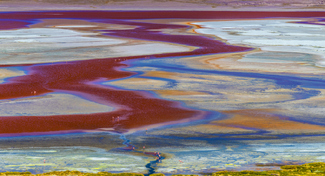 Laguna Colorada Color Awards Winners and Nominees