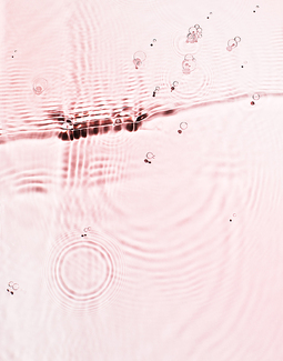 Sweetest Thing on Rose Color Awards Winners and Nominees