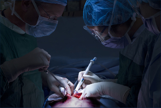 Steady Hands Color Awards Winners and Nominees