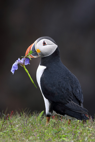 Making Amends Again Making Amends Again