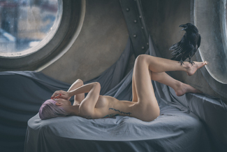 Tale of the raven Color Awards Winners and Nominees