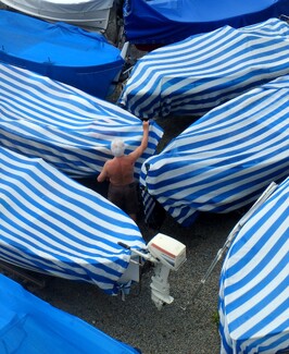 The Fisher man Color Awards Winners and Nominees