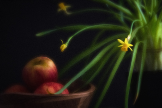 Apples to Daffodils Color Awards Winners and Nominees