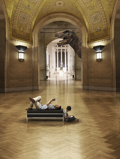 Musuem Color Awards Winners and Nominees