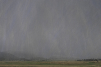 The Rainy Season Color Awards Winners and Nominees