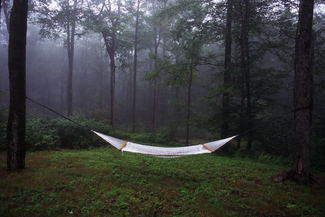 Tranquility Color Awards Winners and Nominees