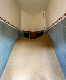 Dune in a Room Color Awards Winners and Nominees