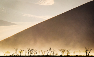 Sand Fog Color Awards Winners and Nominees