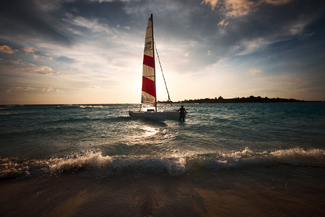 Waiting Color Awards Winners and Nominees