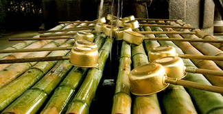 Healing Water (natural spring water at a temple) Color Awards Winners and Nominees