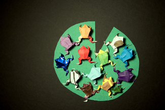 Midnight Express Color Awards Winners and Nominees