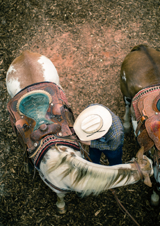 Saddle Up Color Awards Winners and Nominees