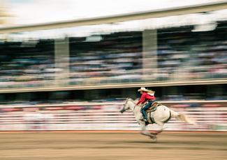 She Barrel Racer Color Awards Winners and Nominees