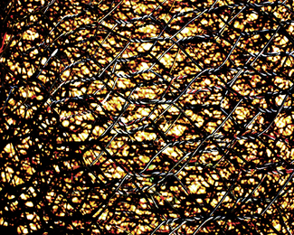 Chicken Wire Color Awards Winners and Nominees