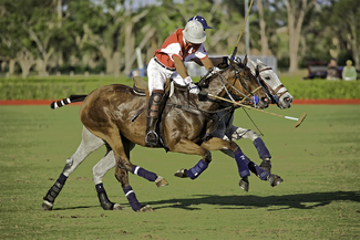 Insync Color Awards Winners and Nominees