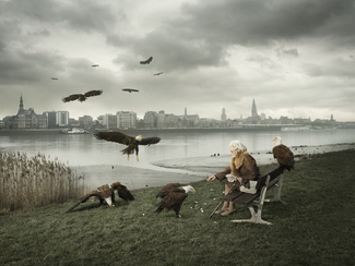 HARLEY DAVIDSON Linkeroever Color Awards Winners and Nominees