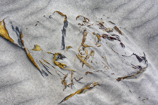 Sand Art 2 Color Awards Winners and Nominees