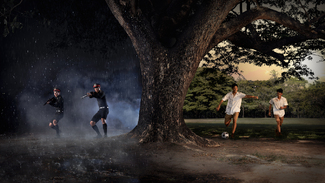 War Peace Color Awards Winners and Nominees