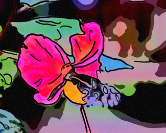 Life is colorful Color Awards Winners and Nominees