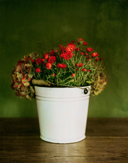 untitled (3) Color Awards Winners and Nominees