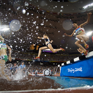 Steeplechase Color Awards Winners and Nominees