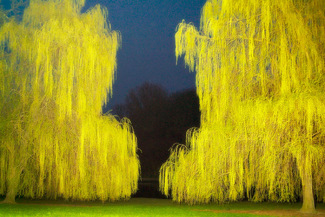 Confidences Color Awards Winners and Nominees